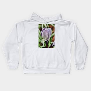 crocus snowdrop and water droplets Kids Hoodie